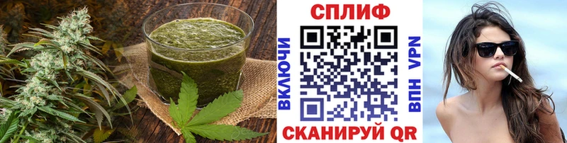 Cannafood конопля  Межгорье 
