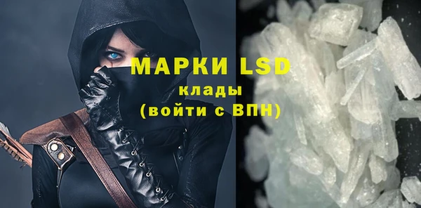 ГАЛЛЮЦИНОГЕННЫЕ ГРИБЫ Касимов
