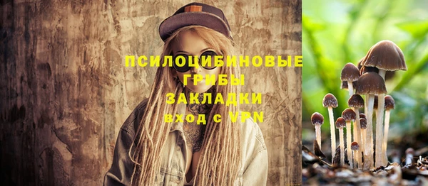 a pvp Кинешма