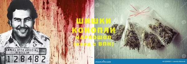 прущие грибы Киренск